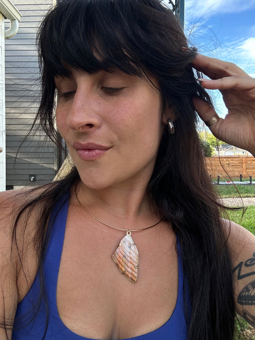 Sea shell choker