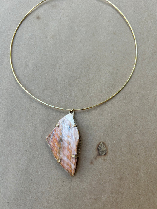 Sea shell choker