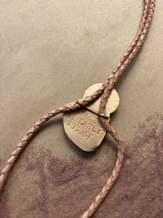 Brown Turquoise bolo tie