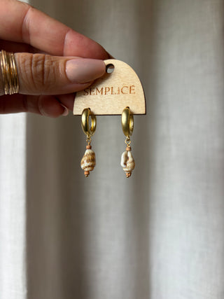 Terracotta and Shell Huggie Hoops