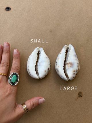 Rare Tiger Cowrie statement choker