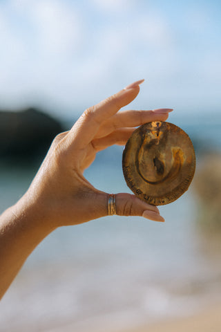 Surf Clam Shell Choker Necklace
