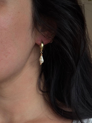 Terracotta and Shell Huggie Hoops