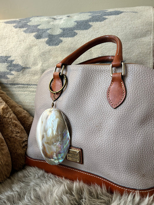 Large Abalone accessory