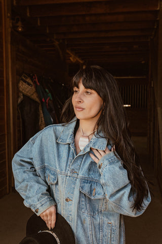 Terracotta Picture Jasper bolo tie