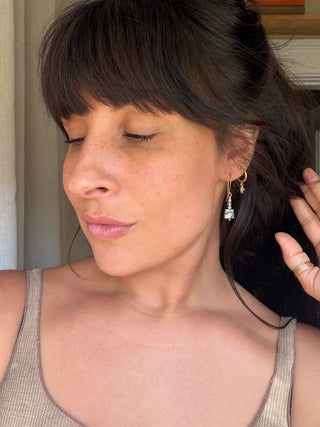 Abalone Earrings