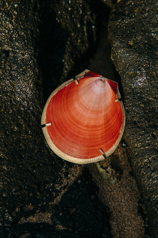 Large Red Shell Necklace