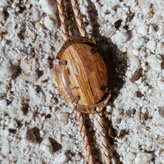 Petrified wood bolo tie
